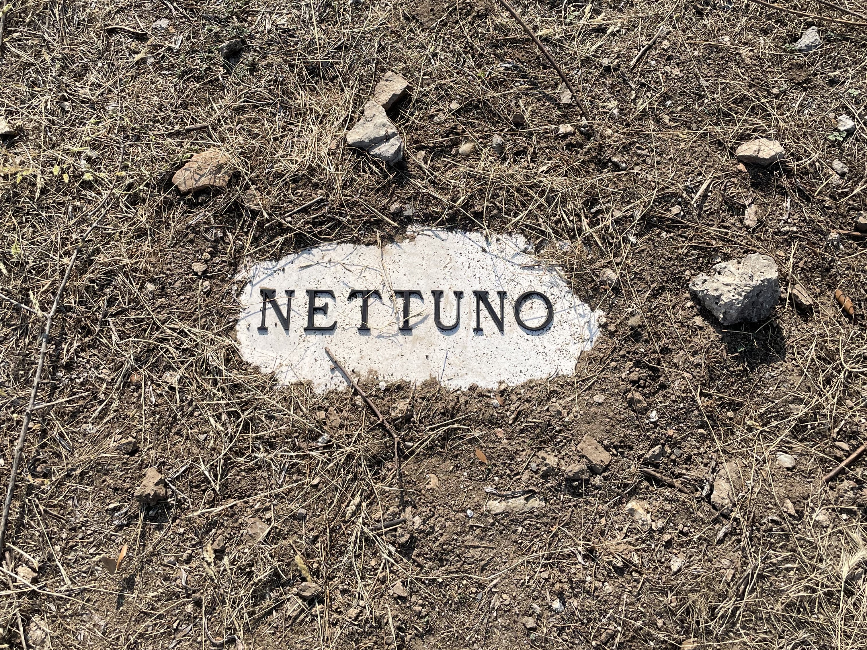 Felice_Levini_DGAN_2