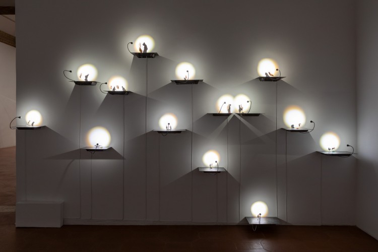 DL Projects - La Fortuna della Fragilità