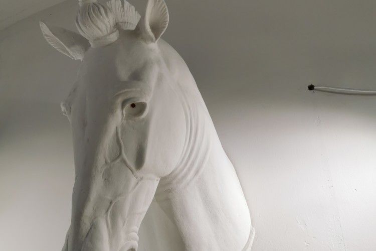 Felice Levini - Felice Levini